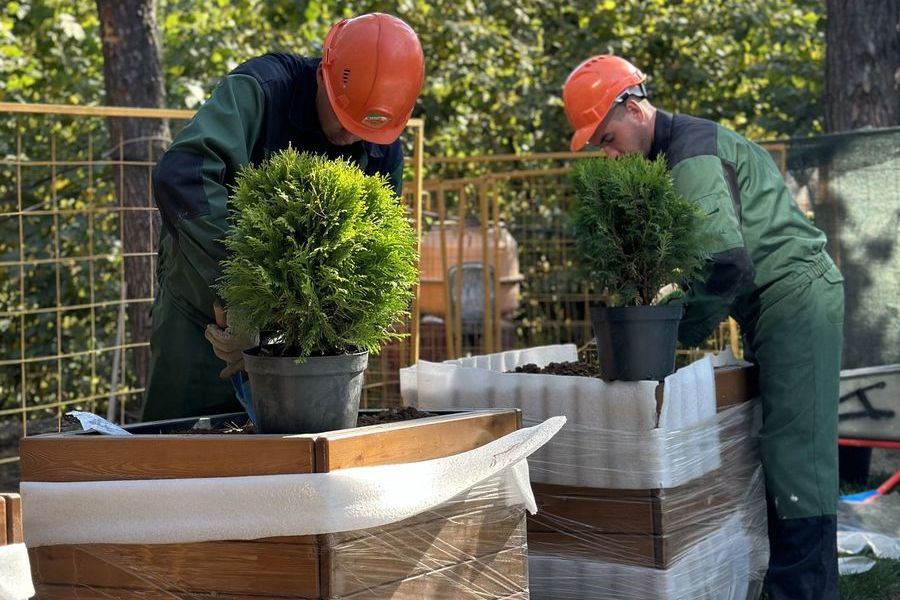 Обработка деревьев от вредителей и болезней в Жуковском