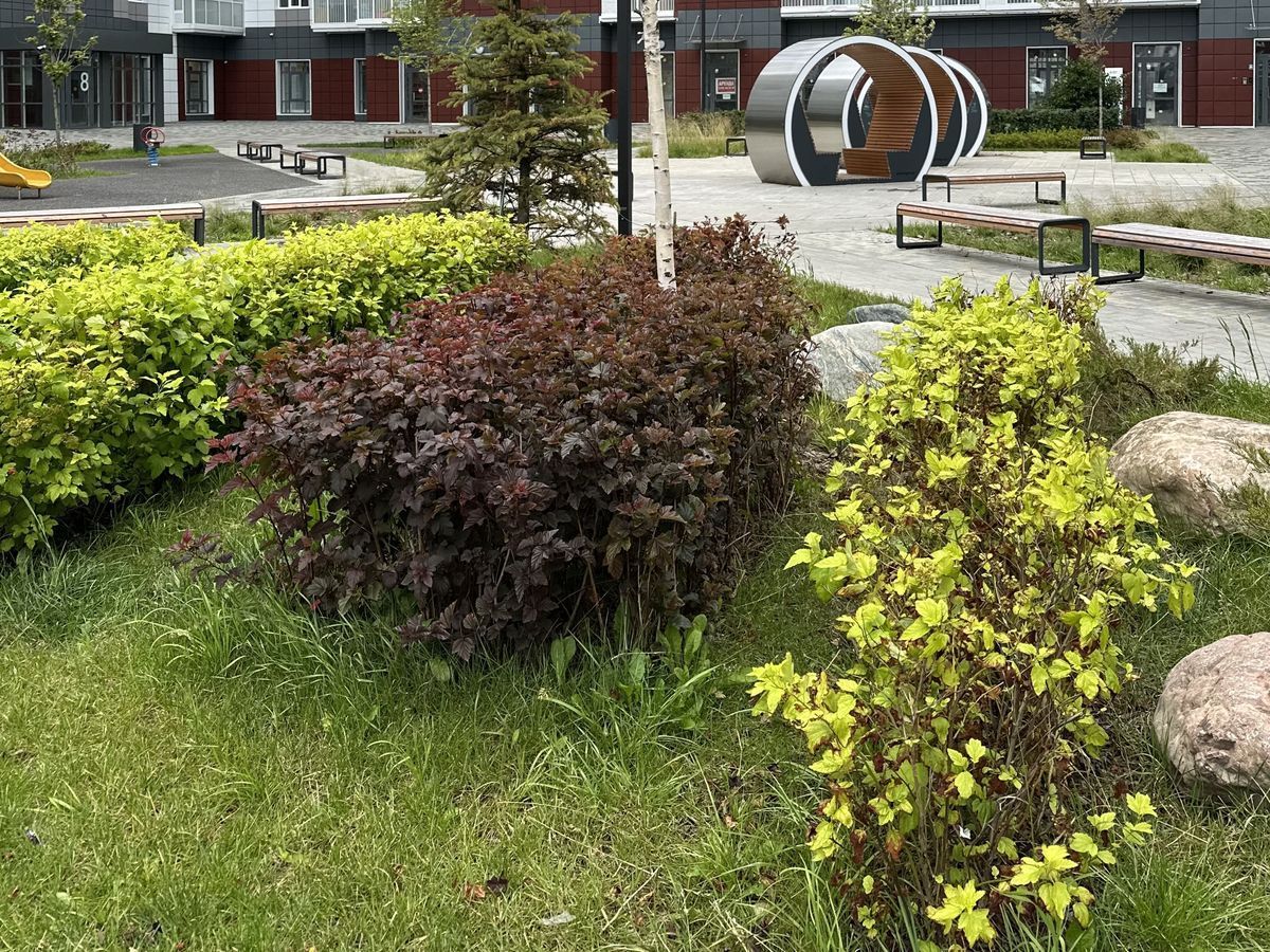 Ландшафтный дизайн в английском стиле