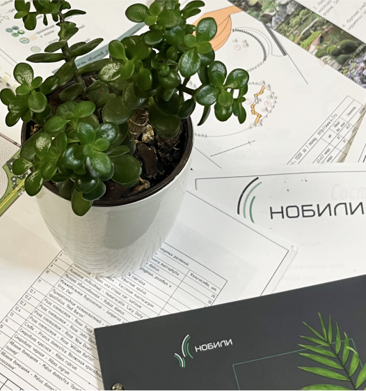 Ландшафтное проектирование