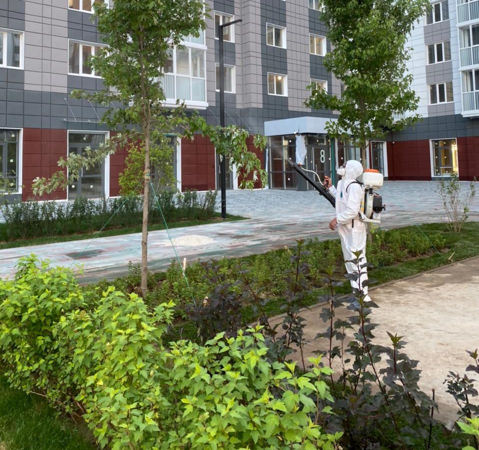 Как обезвредить садовых вредителей?