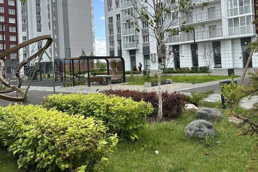 Создание и устройство зеленых зон