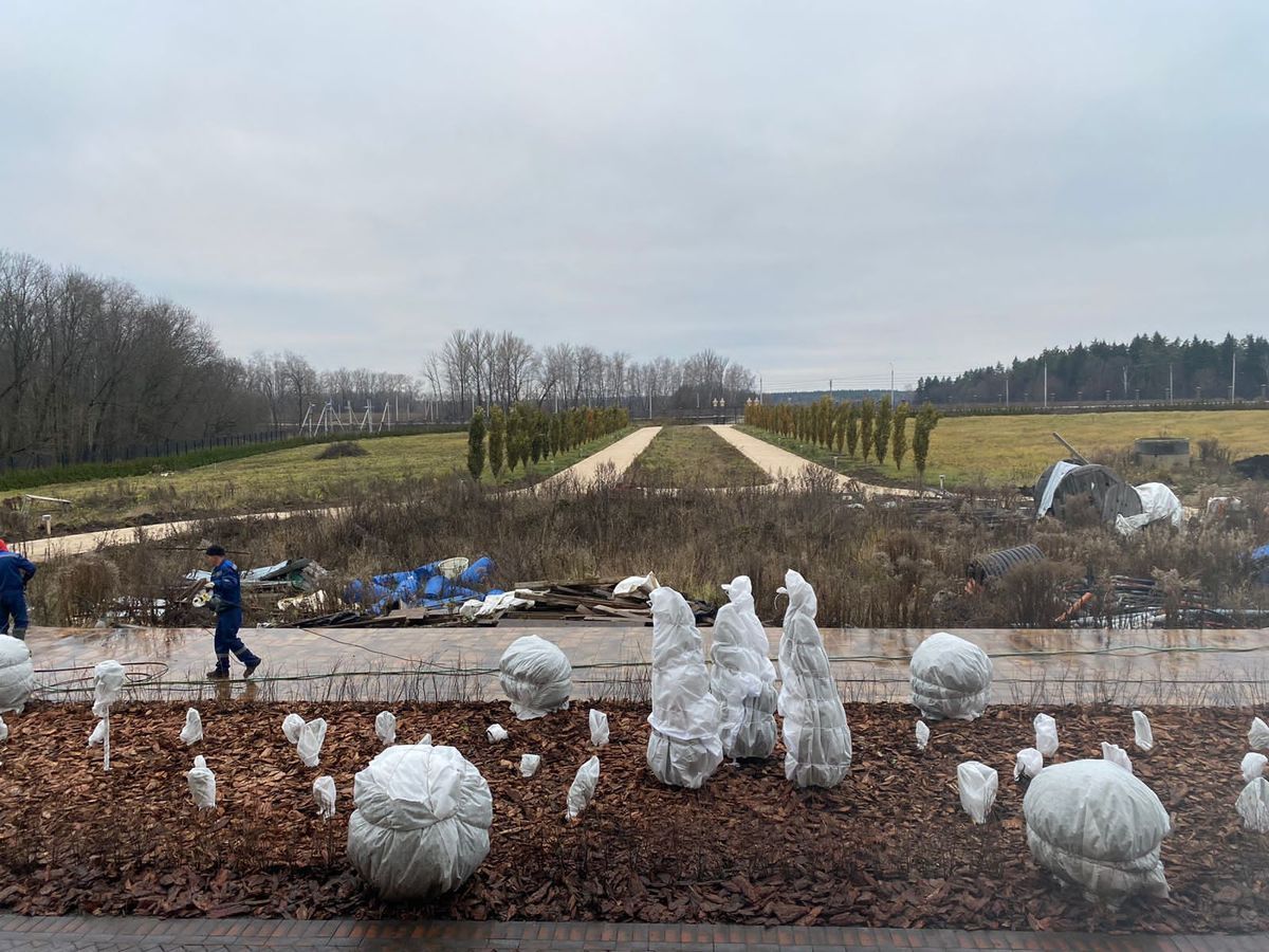 Ландшафтные средства ветрозащиты