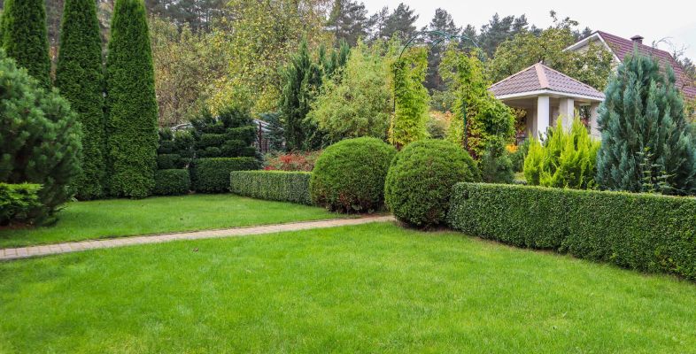 Благоустройство и озеленение частной территории