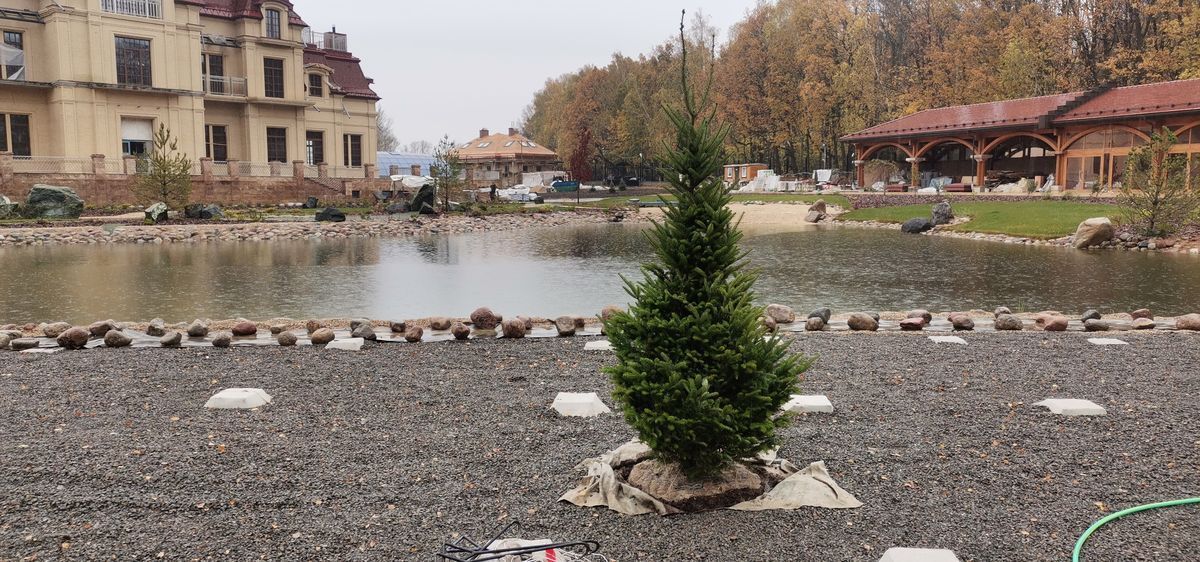 Декоративный пруд на вашем участке