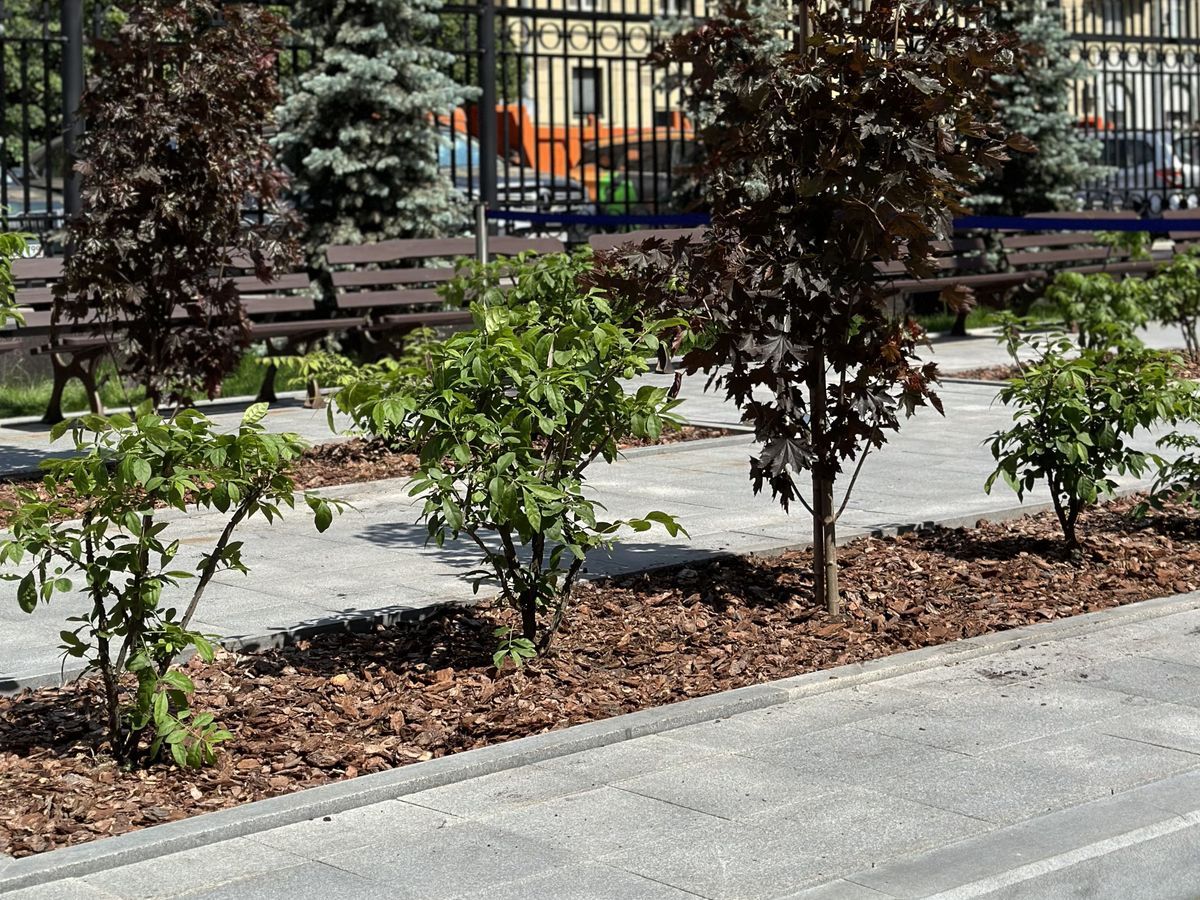 Ландшафтный дизайн: сквозь призму веков