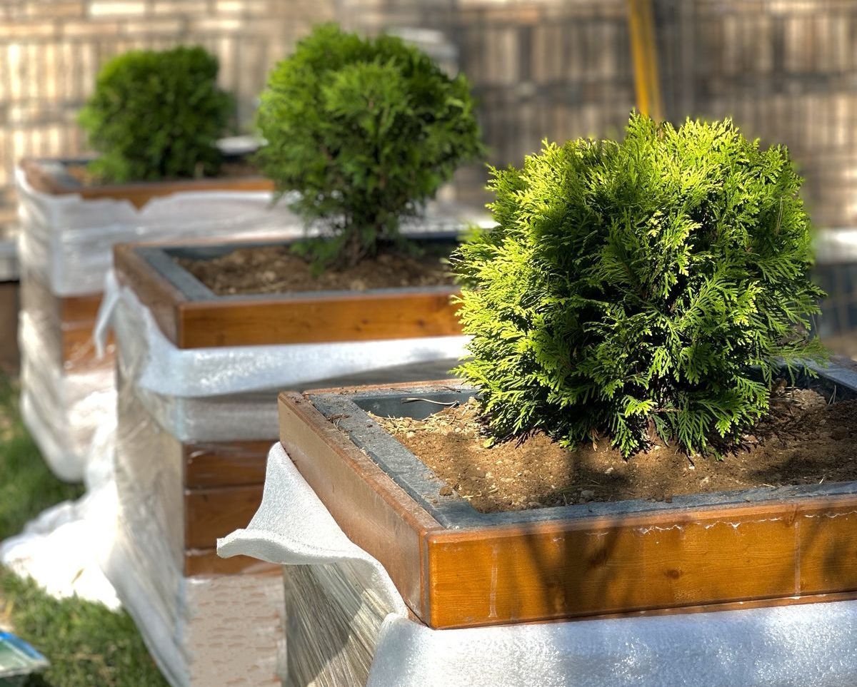 Вазоны, горшки и контейнеры на Вашем участке