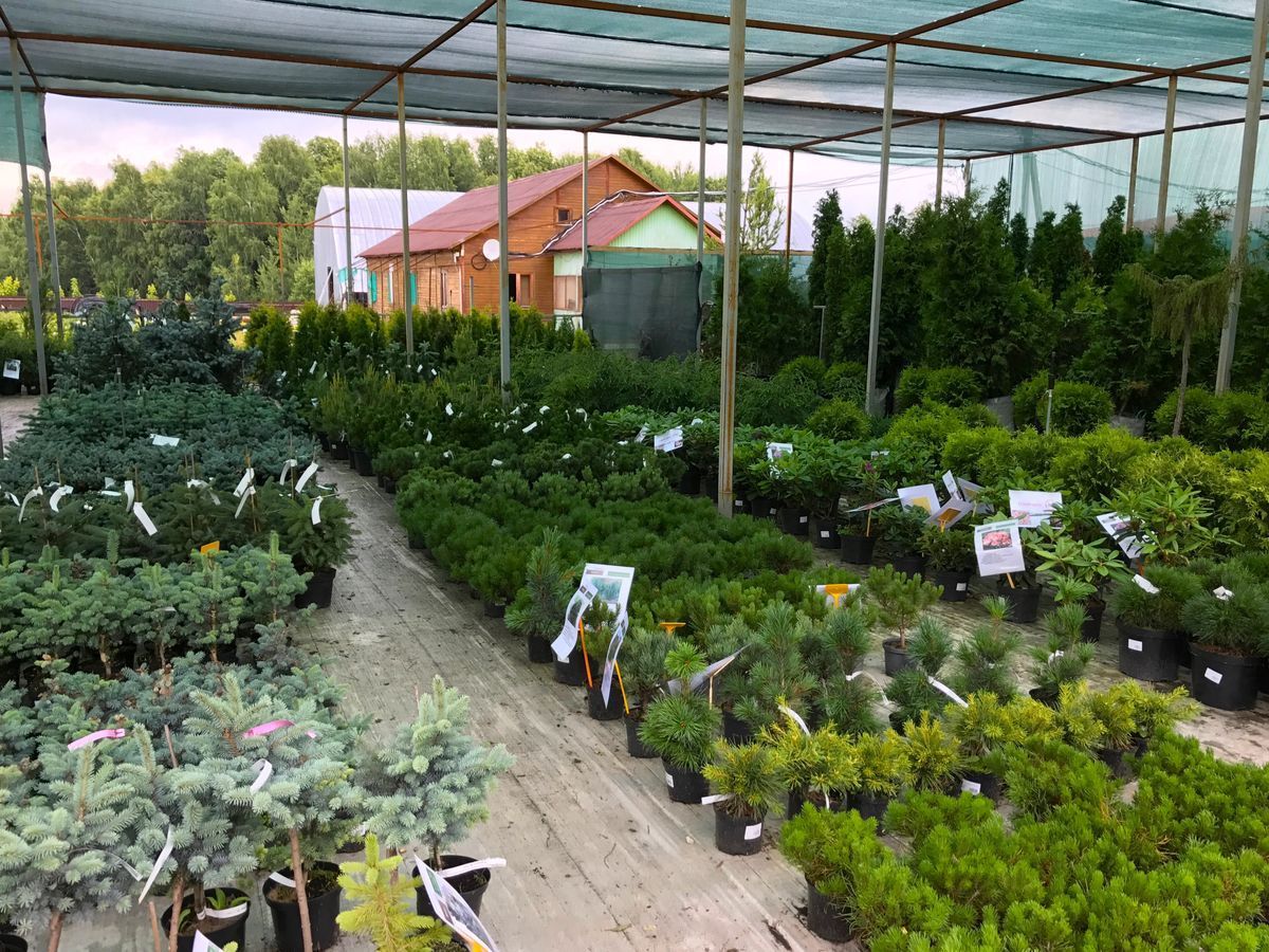 Как осветить зимнюю теплицу?