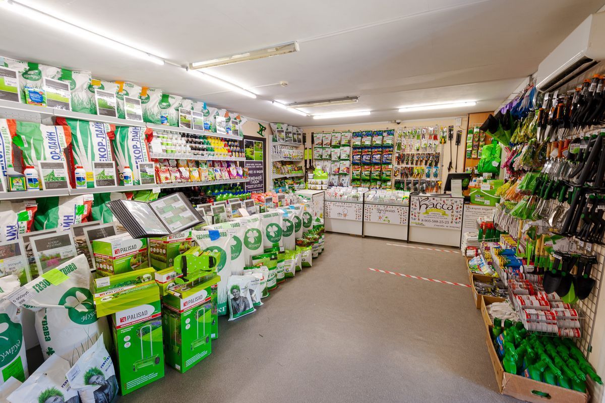 Клещевина для Вашего сада