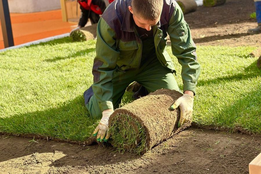 Устройство газона