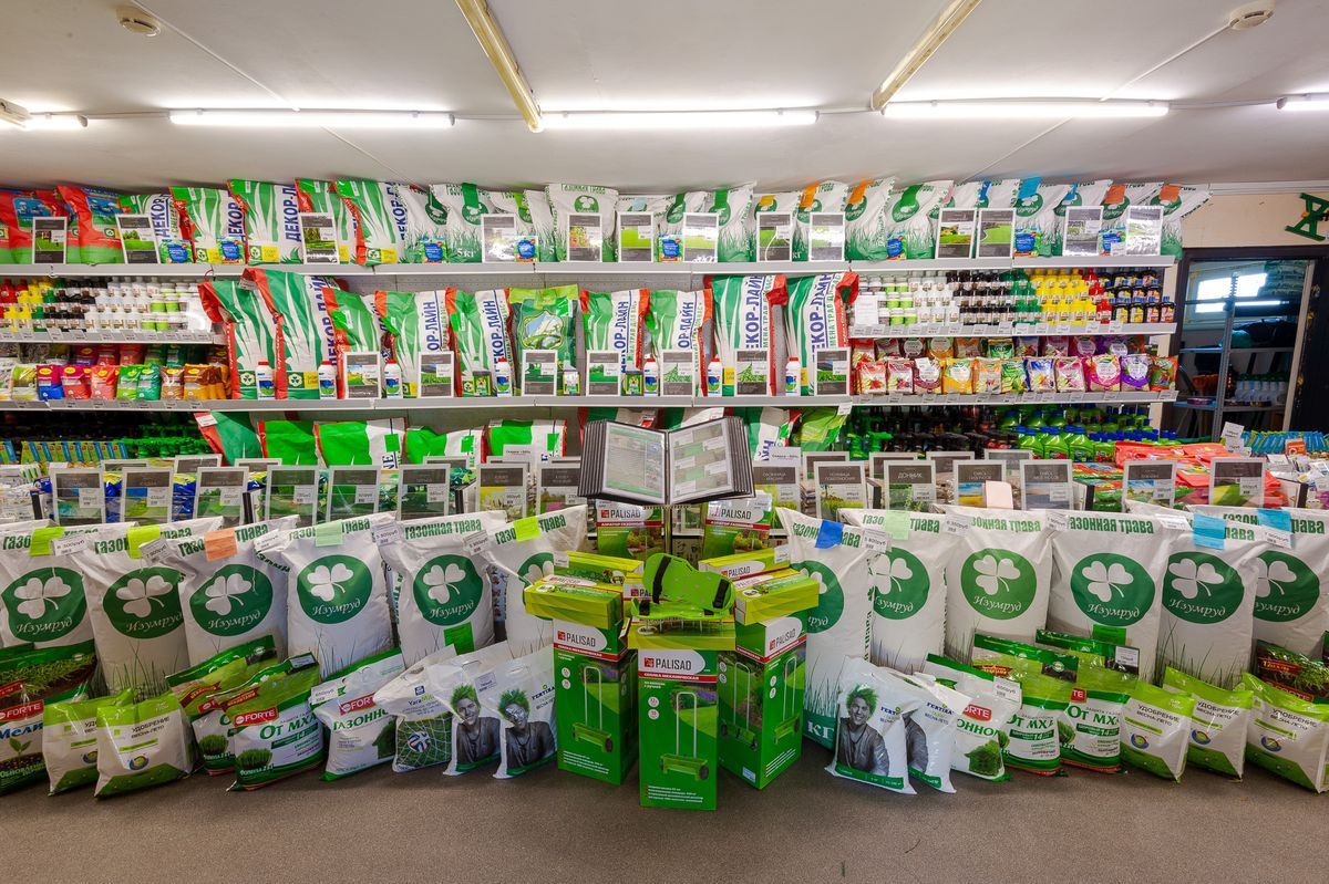 Препарат Клипер для защиты деревьев от стволовых вредителей