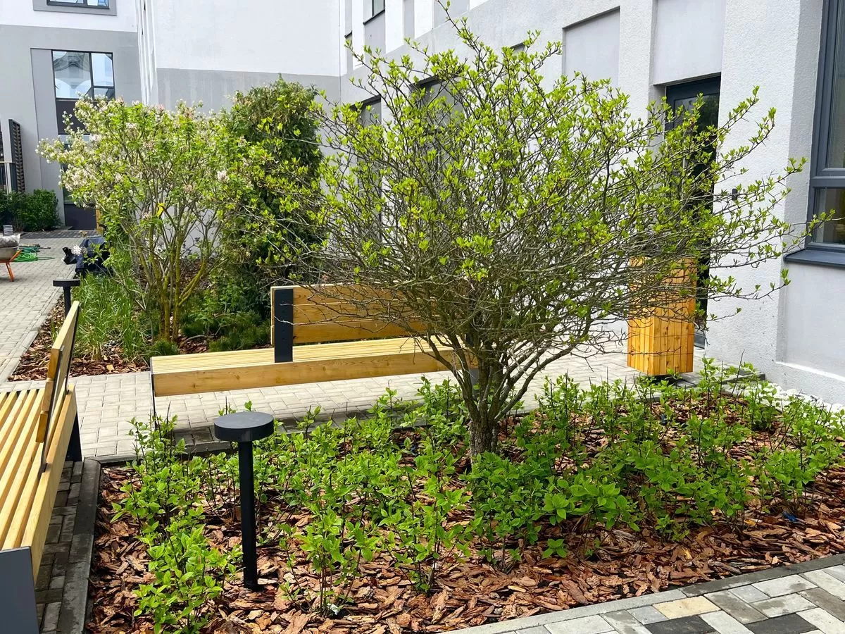 Как правильно посадить растения под деревьями?