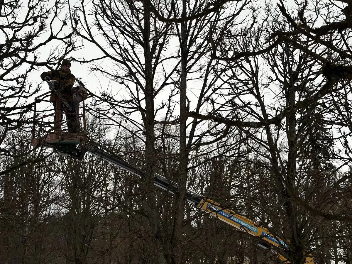 Как правильно ухаживать за объектами ландшафтного дизайна зимой?