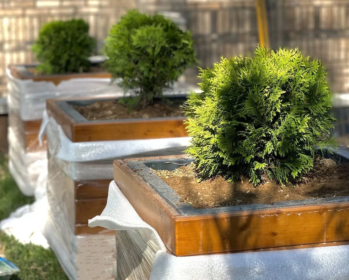 Вазоны, горшки и контейнеры на Вашем участке