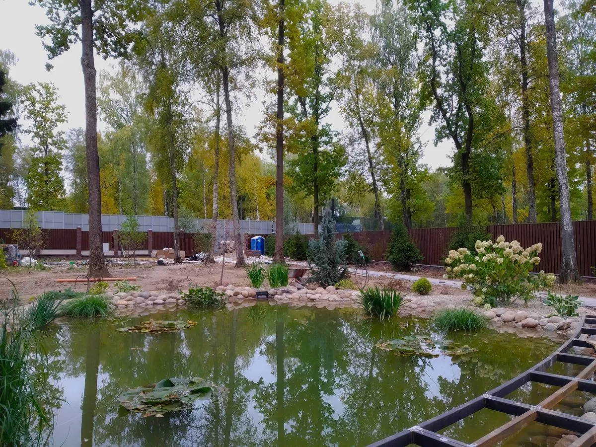 Как правильно подготовить пруд к зимовке?