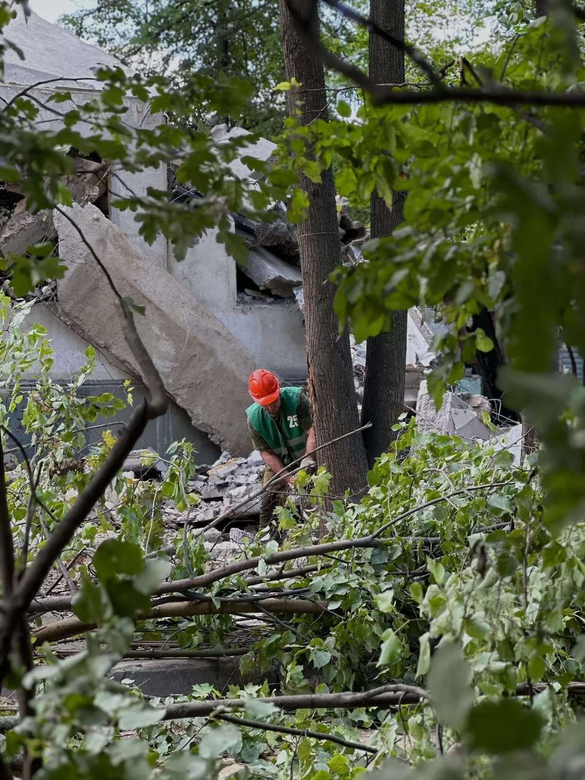 Валка деревьев с наклоном по направлению в стороны