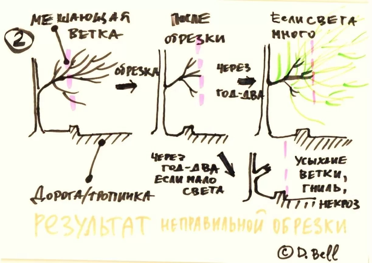 Обрезка мешающих ветвей деревьев и кустарников