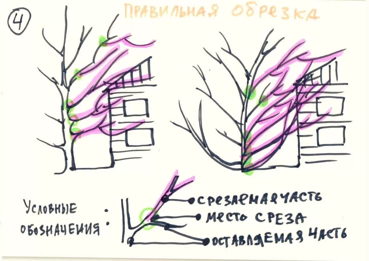 Обрезка мешающих ветвей деревьев и кустарников