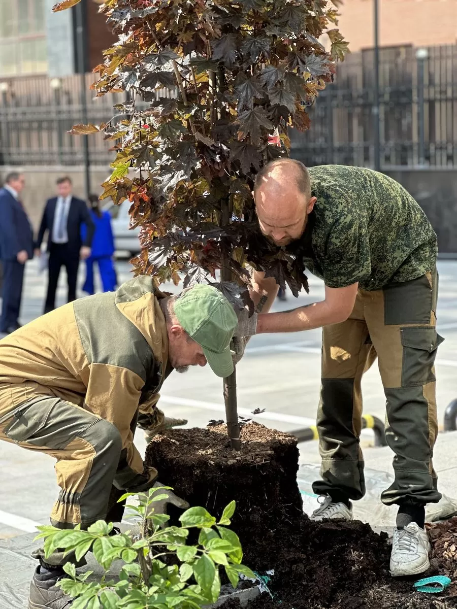 Биг Джон посадка крупномеров