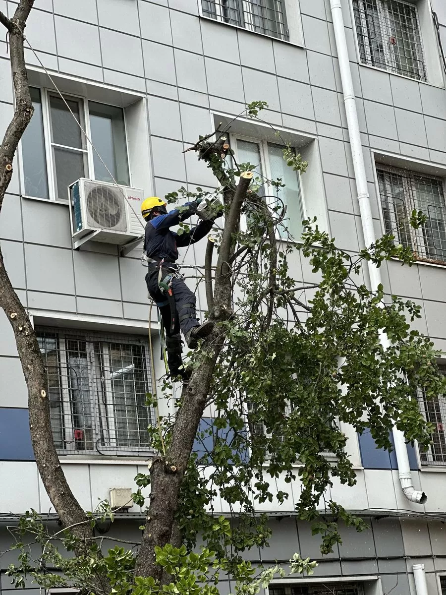 Промышленный альпинизм – цены на услуги промышленных альпинистов в Москве